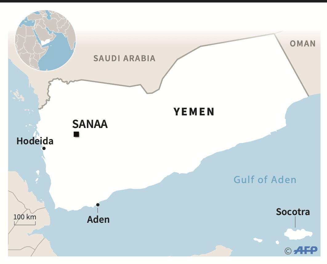 Yemeni authorities foil smuggling of rare plant seeds out of Socotra ...