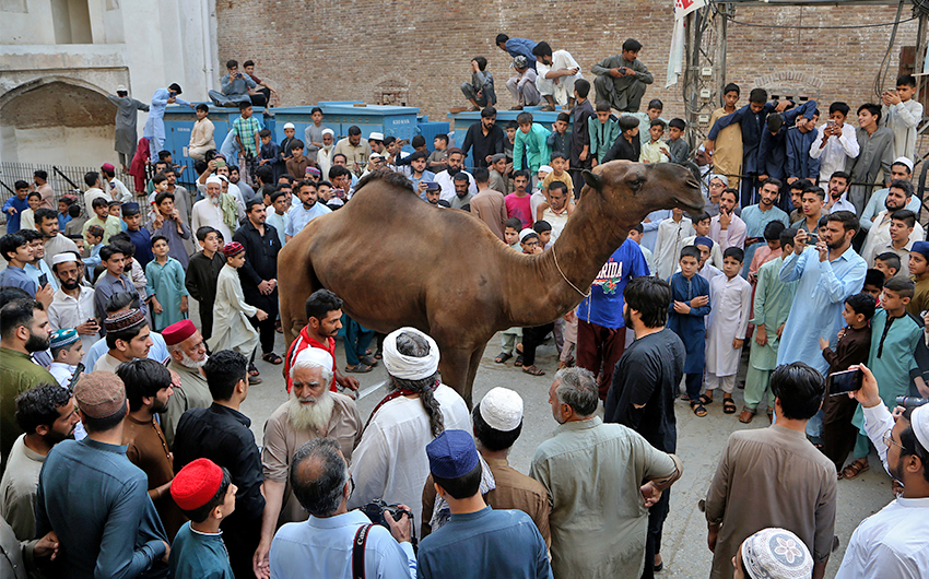 Pakistan celebrates Eid AlAdha as coronavirus fourth wave looms Arab